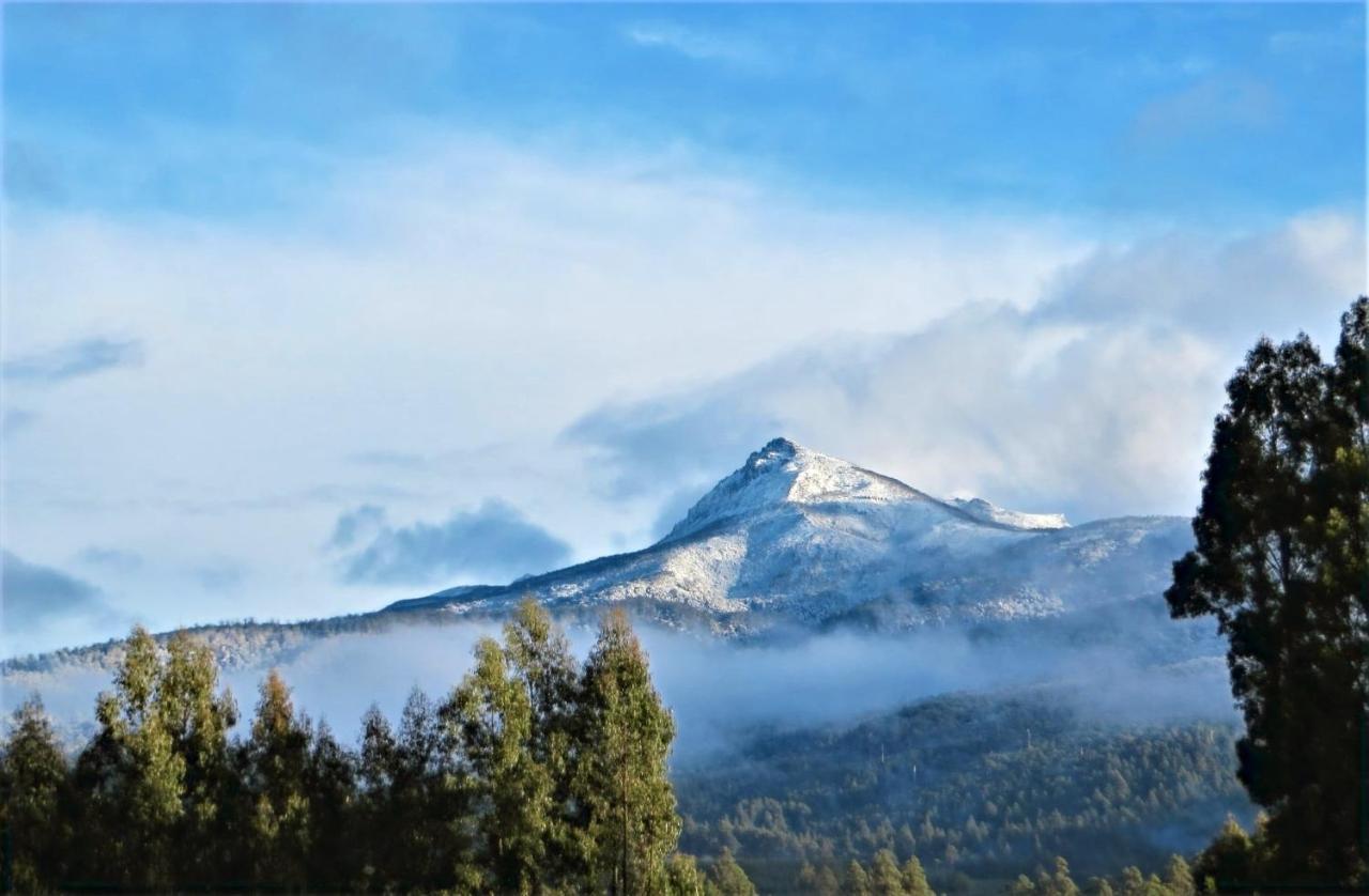 Maydena Mountain Cabins ภายนอก รูปภาพ