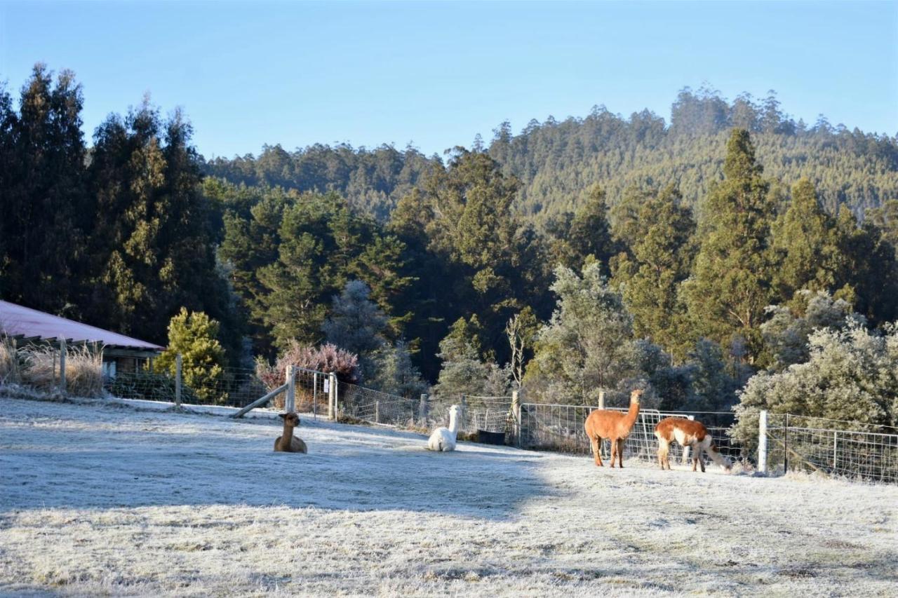 Maydena Mountain Cabins ภายนอก รูปภาพ