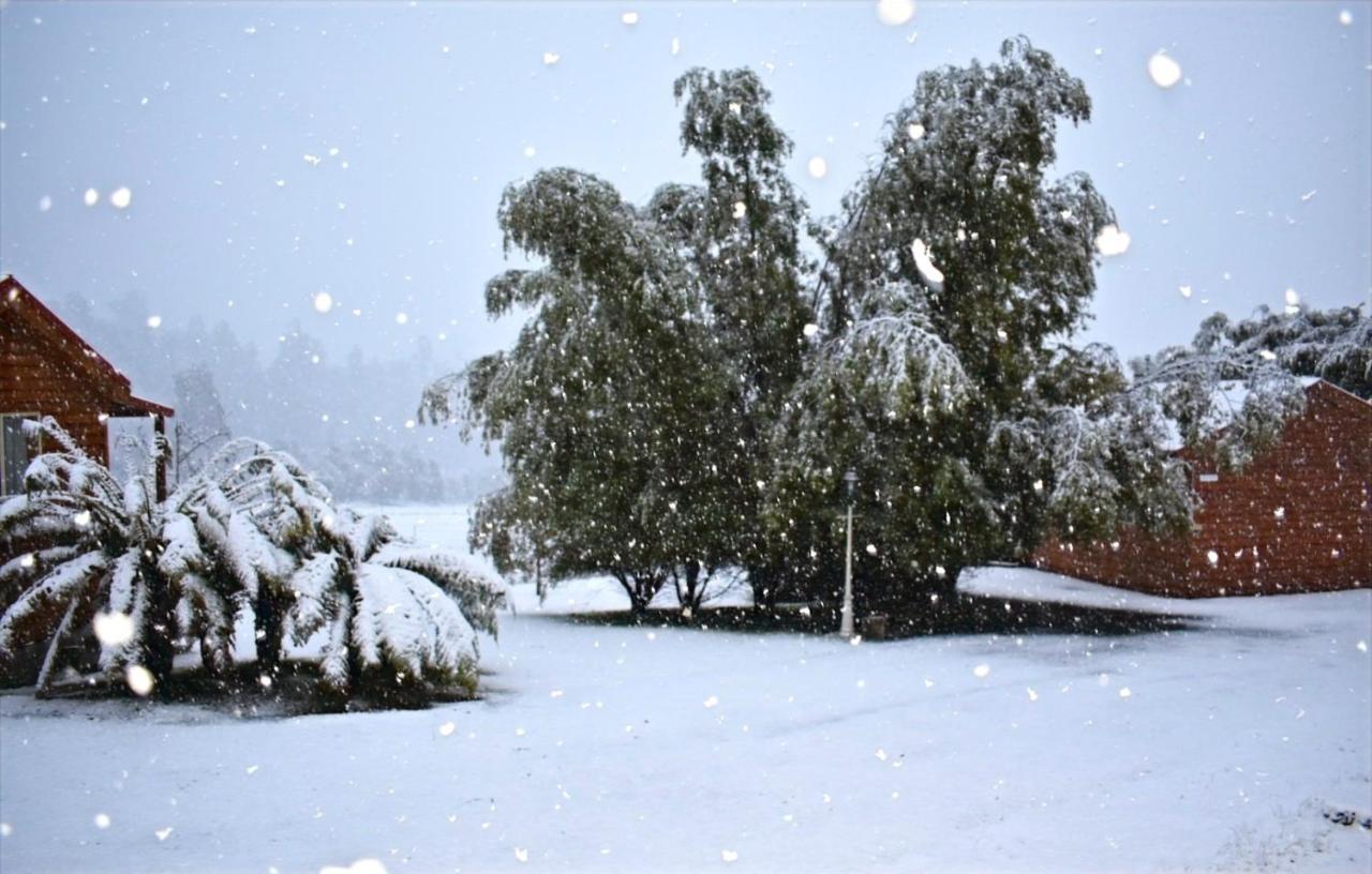 Maydena Mountain Cabins ภายนอก รูปภาพ