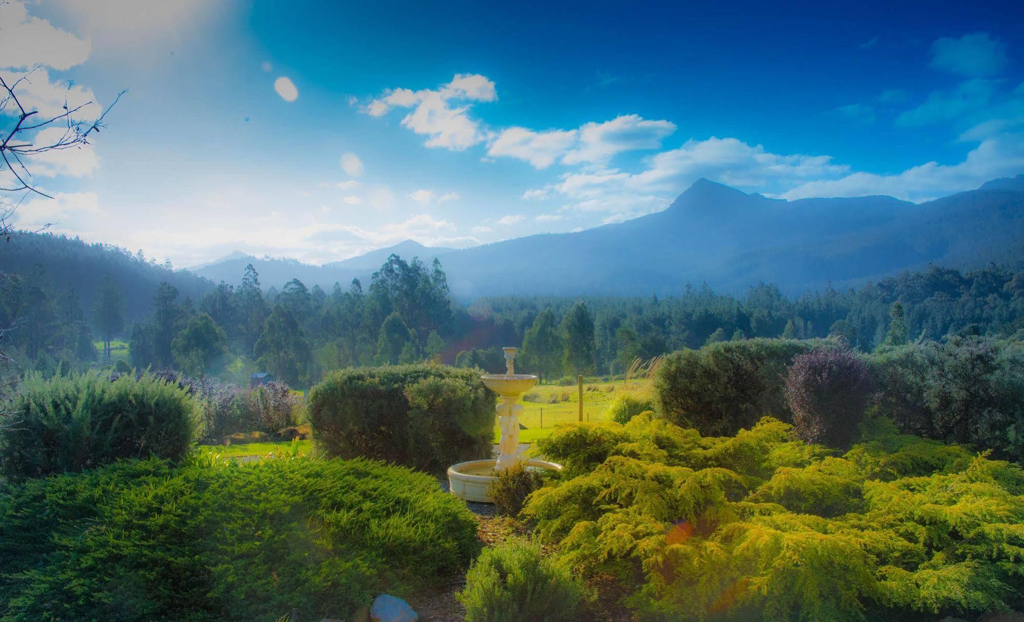 Maydena Mountain Cabins ภายนอก รูปภาพ