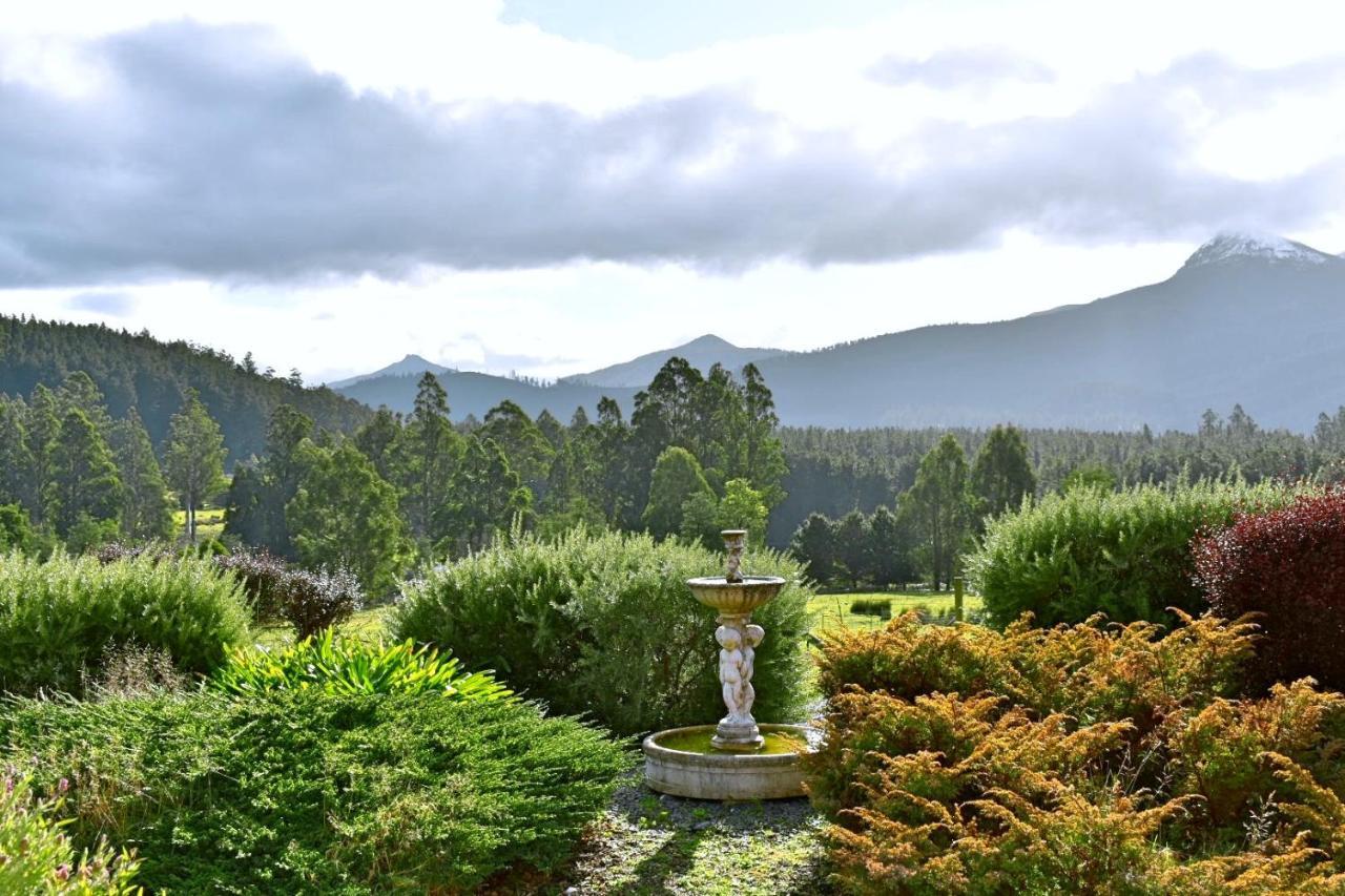 Maydena Mountain Cabins ภายนอก รูปภาพ