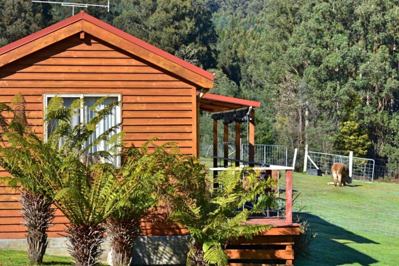 Maydena Mountain Cabins ภายนอก รูปภาพ