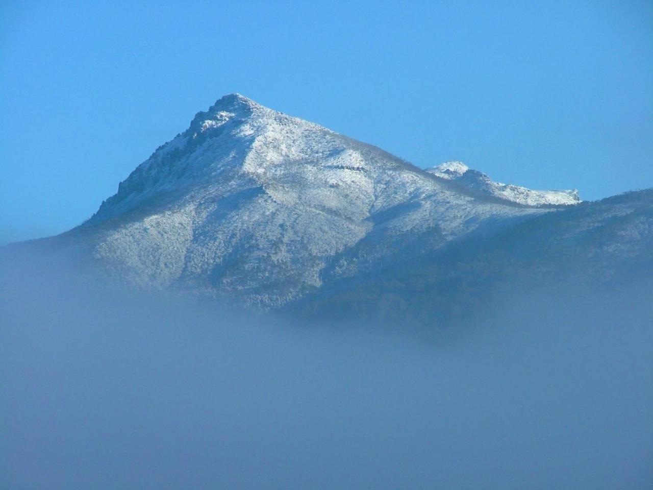 Maydena Mountain Cabins ภายนอก รูปภาพ