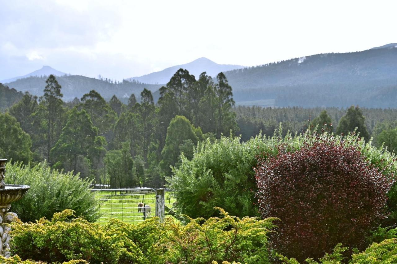 Maydena Mountain Cabins ภายนอก รูปภาพ