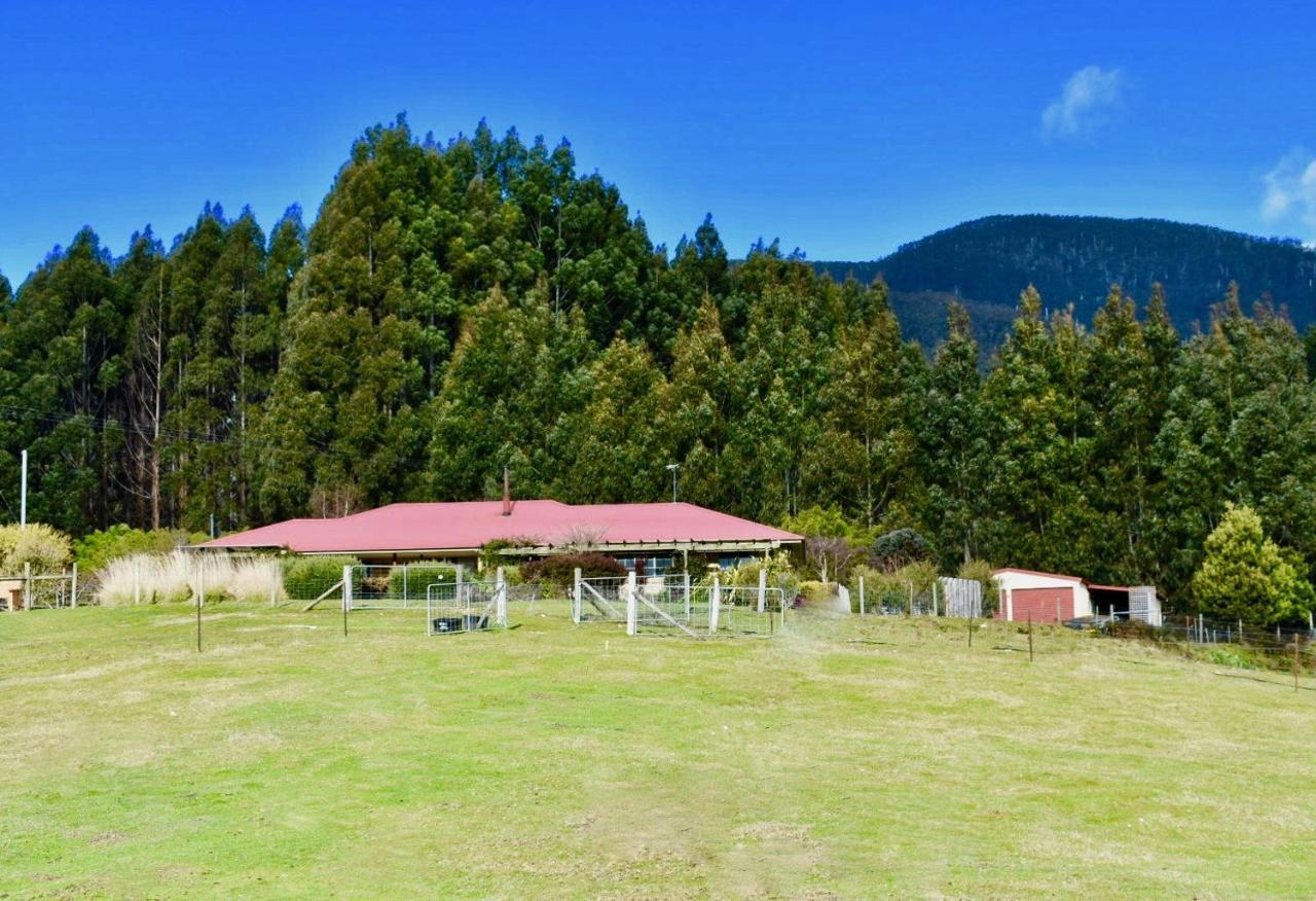 Maydena Mountain Cabins ภายนอก รูปภาพ